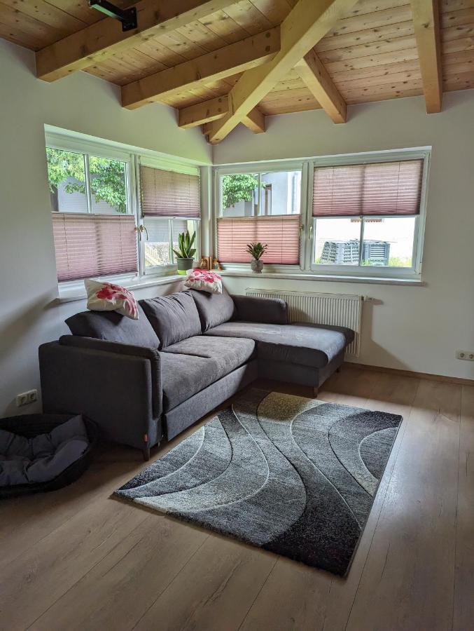 Ferienwohnung Trixi Hollersbach im Pinzgau Exterior photo
